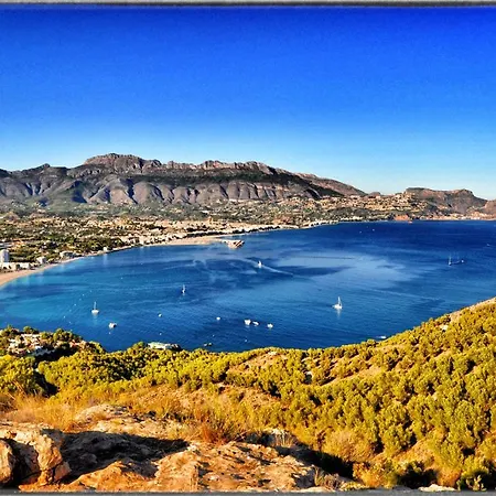 Albir 21 By Albir Proper